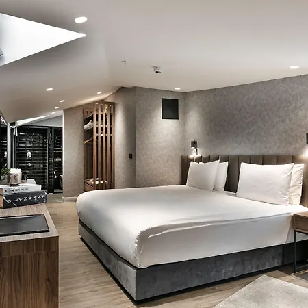 أفانتجارد شيشلي 4*